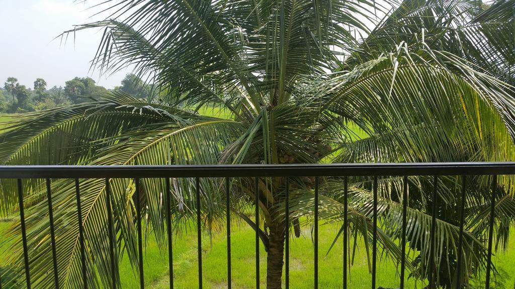 Serene View Tourist Rest Hotel Anuradhapura Buitenkant foto