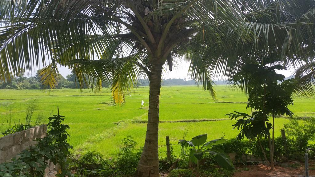 Serene View Tourist Rest Hotel Anuradhapura Buitenkant foto