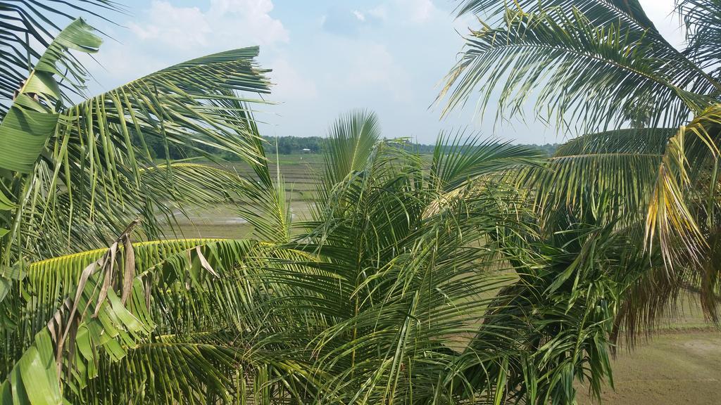 Serene View Tourist Rest Hotel Anuradhapura Buitenkant foto