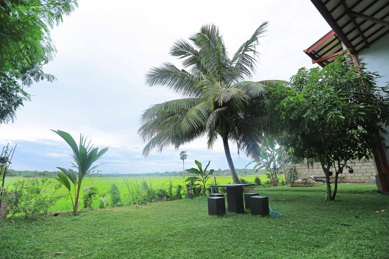 Serene View Tourist Rest Hotel Anuradhapura Buitenkant foto